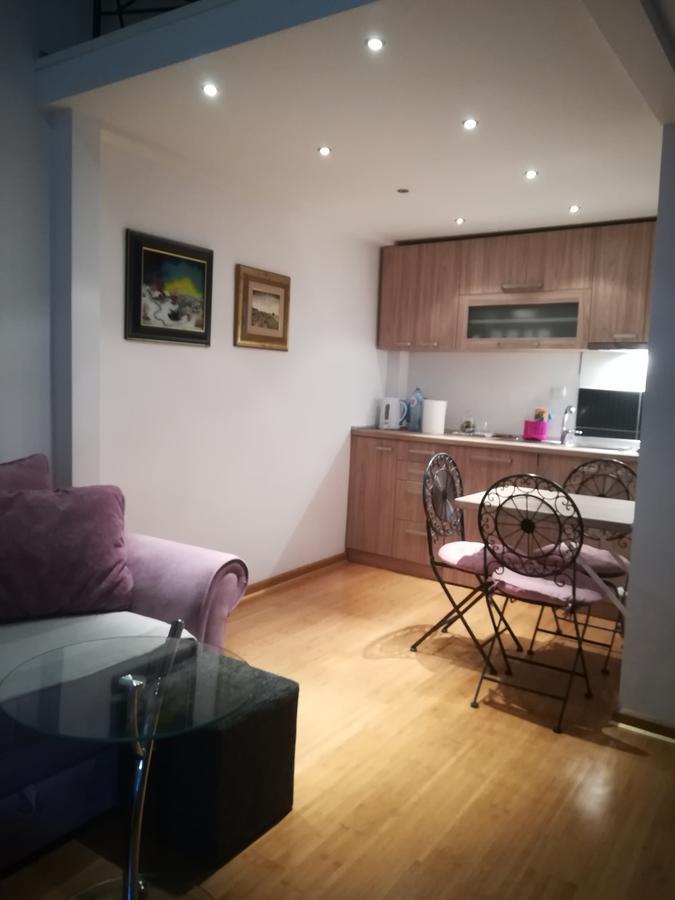 Apartman Galerija Appartement Novi Sad Buitenkant foto